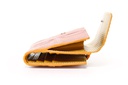 FOLDING PURSE - BLACK | PINK