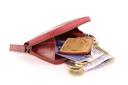 POCKET BAG | ORGANIZER COGNAC